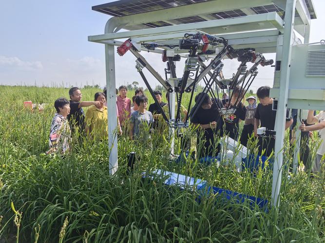 首款黄花菜智能采摘机器人在山西大同亮相
